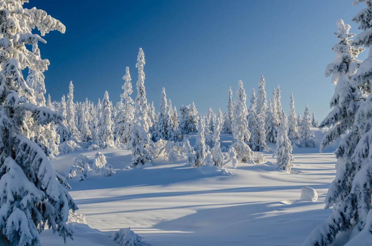 Blefjell Lodge Lampeland Экстерьер фото